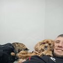 ���� �����, ������, 37 ��� - ��������� 6 ������ 2026 � ������ ���� ����������