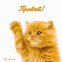 ���� �����, ����, 75 ��� - ��������� 26 ��� 2025