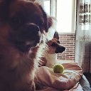 ���� ����, �����, 28 ��� - ��������� 18 ����� 2024 � ������ ���� ����������