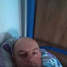 , 36, 