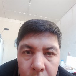 , 40, 