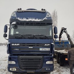 ���������, ���������, 55 ���