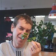 ����, 49 ���, ���������