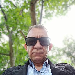 ���������, 41 ���, ������������