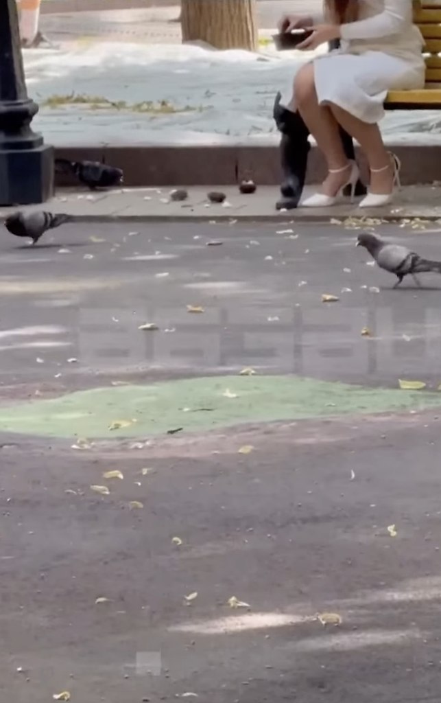 ,    *???.      ,   ... ...