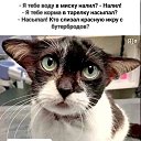 ���� ����, ���� - ��������� 23 ������ 2025 � ������ ������ ��������