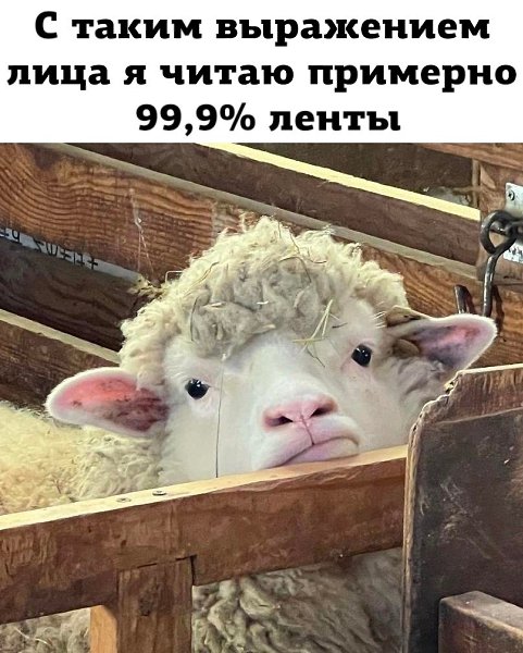 JPG - 5  2024  17:04