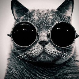 �������, ������, 26 ���