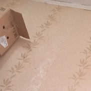 ������, 52 ����, ������