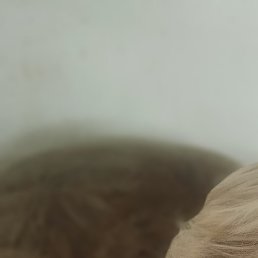 , , 51 