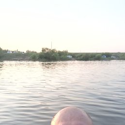 , 40, 