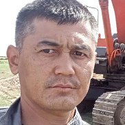 , 37 , 
