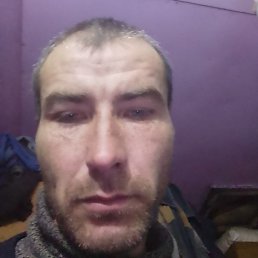 ������, ������������, 41 ���