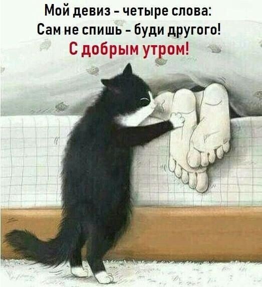  - 6  2025  09:28