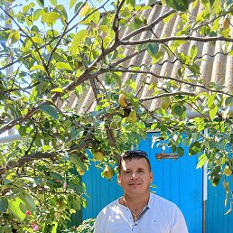 ���� ����, ���������, 46 ��� - ��������� 22 ����� 2026