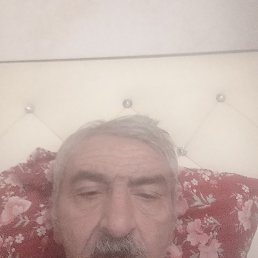 , 61, 