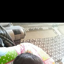 , 29, 