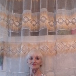 , 66, 