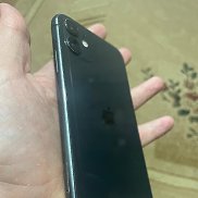 �������, 25 ���, ������