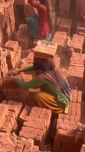    ,    .