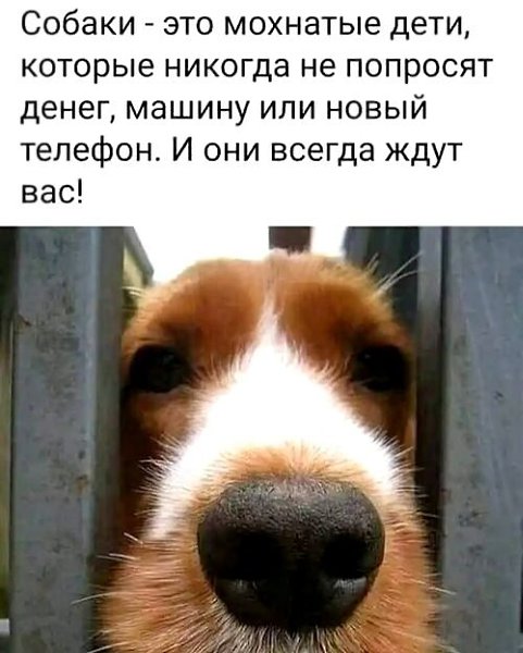   ! - 21  2025  23:48