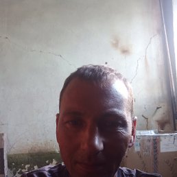 , 38, 
