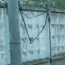 ������� �������, ����, 43 ����