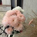 ���� ����, ������, 41 ��� - ��������� 22 ������� 2026 � ������ ���� ����������