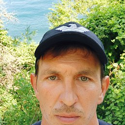 , 41, --