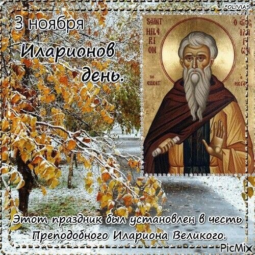 ***Victoria Viktorovna*** - 3  2025  05:19