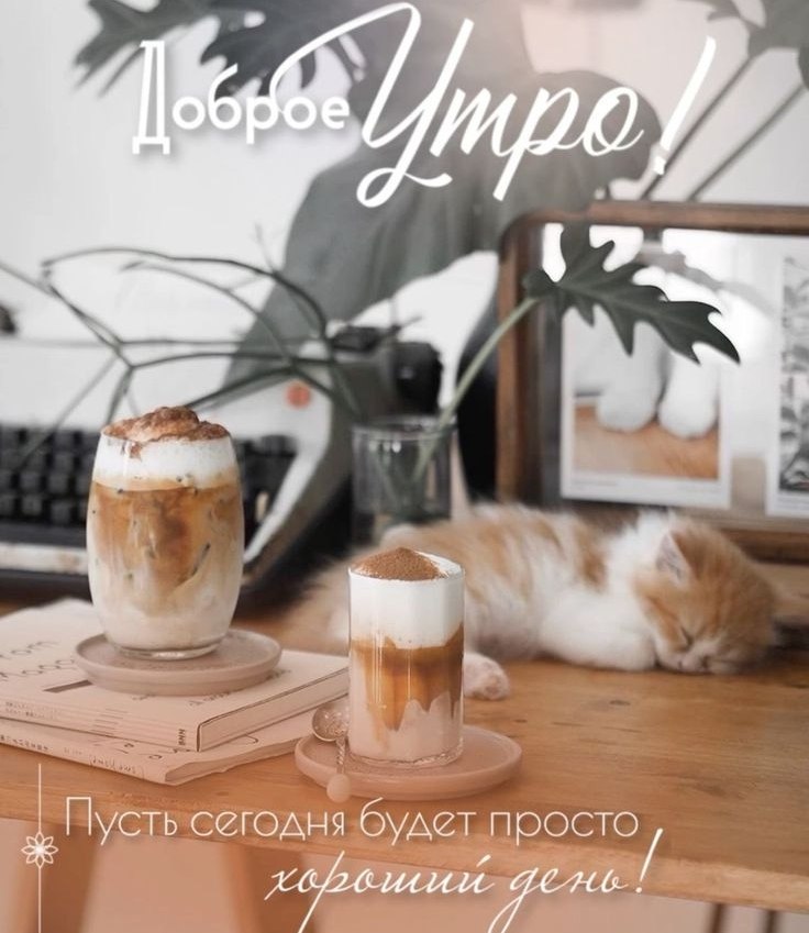   ,    . - 28  2025  00:33