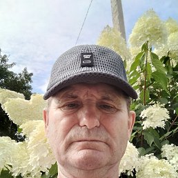 , 64 , 