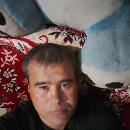 , 38, 