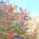 ���� ���, ������, 46 ��� - ��������� 13 ������ 2023 � ������ ���� ����������