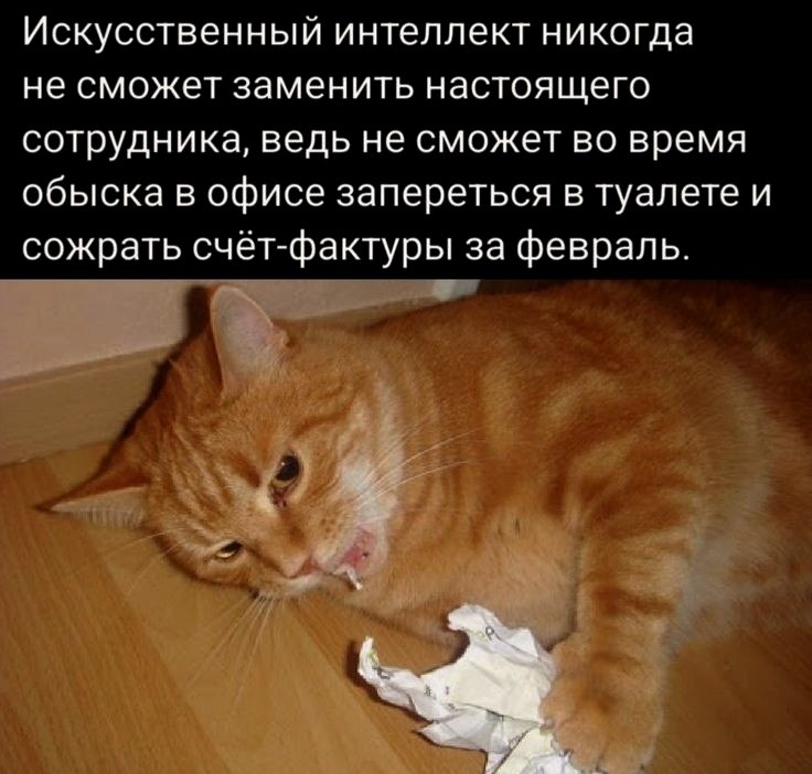   - 15  2024  02:18