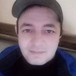 ������, �����, 41 ���