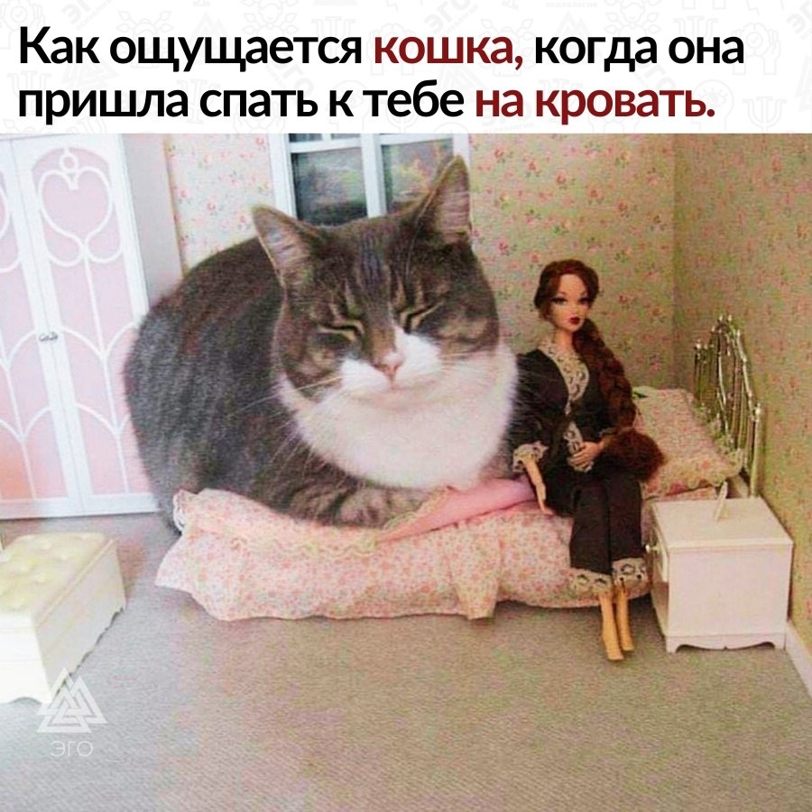 ,    .     