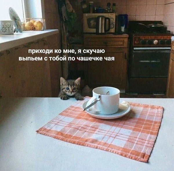    - 23  2024  18:11