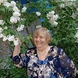 ������, �������, 71 ���