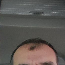 ������, ������, 54 ����