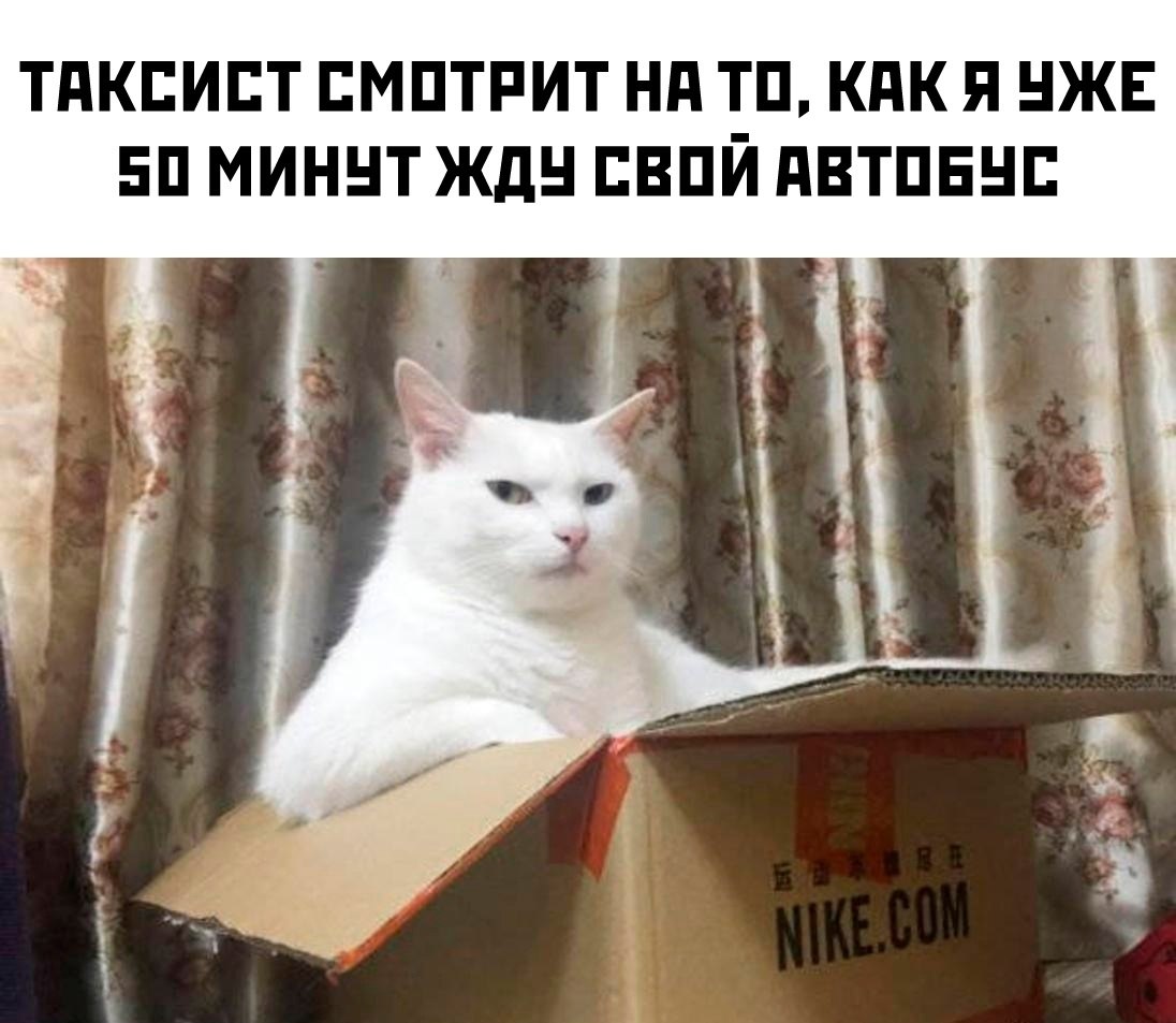  - 10  2025  12:32