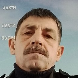 �����, �����������, 55 ���