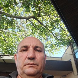 , 51, 