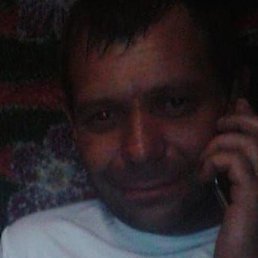 ������, �����, 41 ���