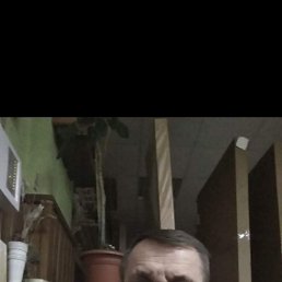 , 61, 