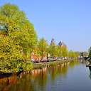 ���� Alex, ��������, 49 ��� - ��������� 2 ������� 2023 � ������ ������ ��������