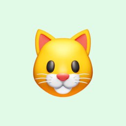 ��������, ��������