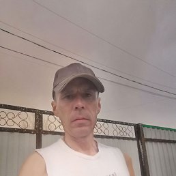 ����, ������, 39 ���