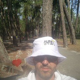 �����, �������, 43 ����