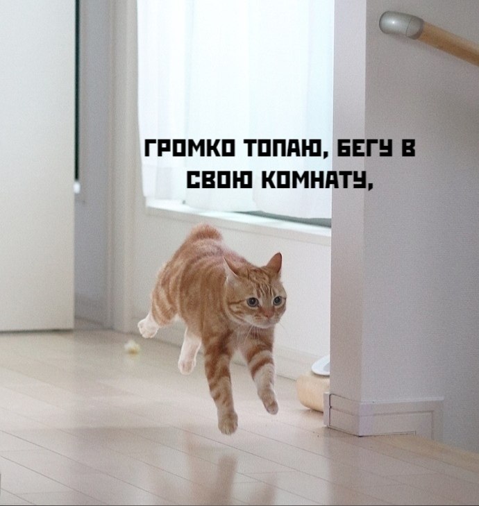 ��� ���� � ����� �� �� - 3 ������ 2026 � 17:03 - 2